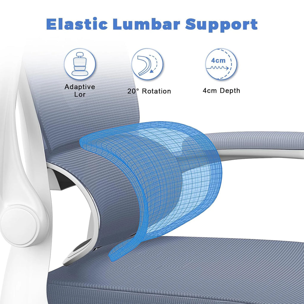 naspaluro Ergonomic Office Chair with Lumbar Support, Home Office Desk Computer Chairs Adjustable Headrest and Flip-up Armrests
