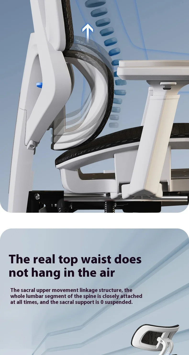 Ergonomic Chair Dresser Back Support Computer Gaming Chairs Wheels Massage Foot Rest Adjustable Sedia Da Ufficio Furniture