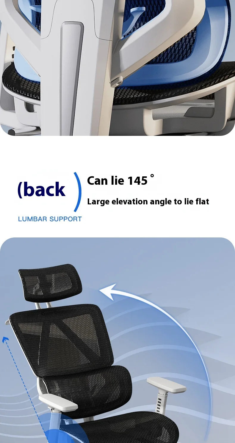 Ergonomic Chair Dresser Back Support Computer Gaming Chairs Wheels Massage Foot Rest Adjustable Sedia Da Ufficio Furniture