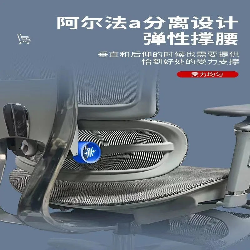 Aluminum Alloy Office Chair Student Ergonomic Computer Lifting Learning Backrest Executive Chair Home