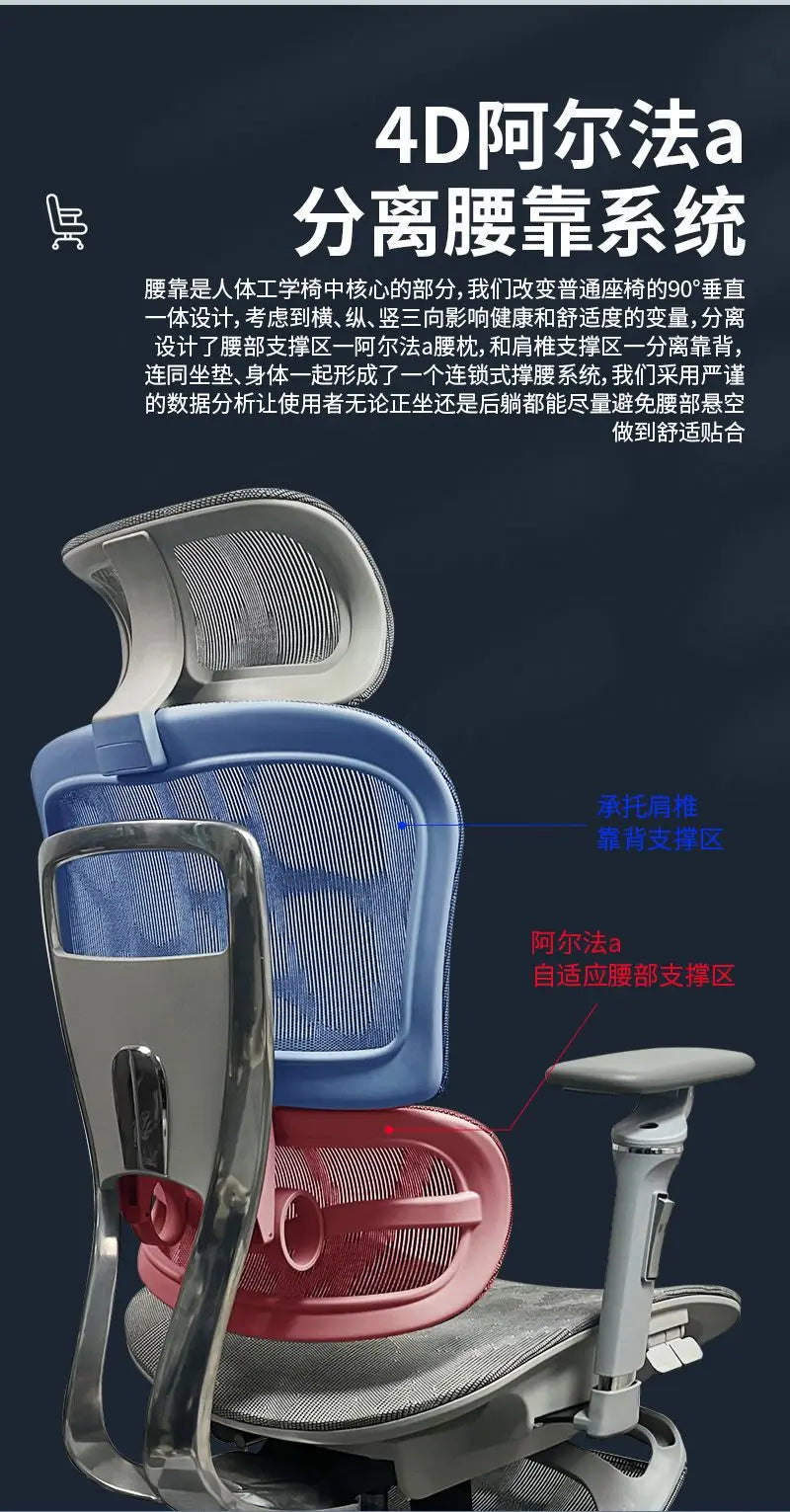 Aluminum Alloy Office Chair Student Ergonomic Computer Lifting Learning Backrest Executive Chair Home