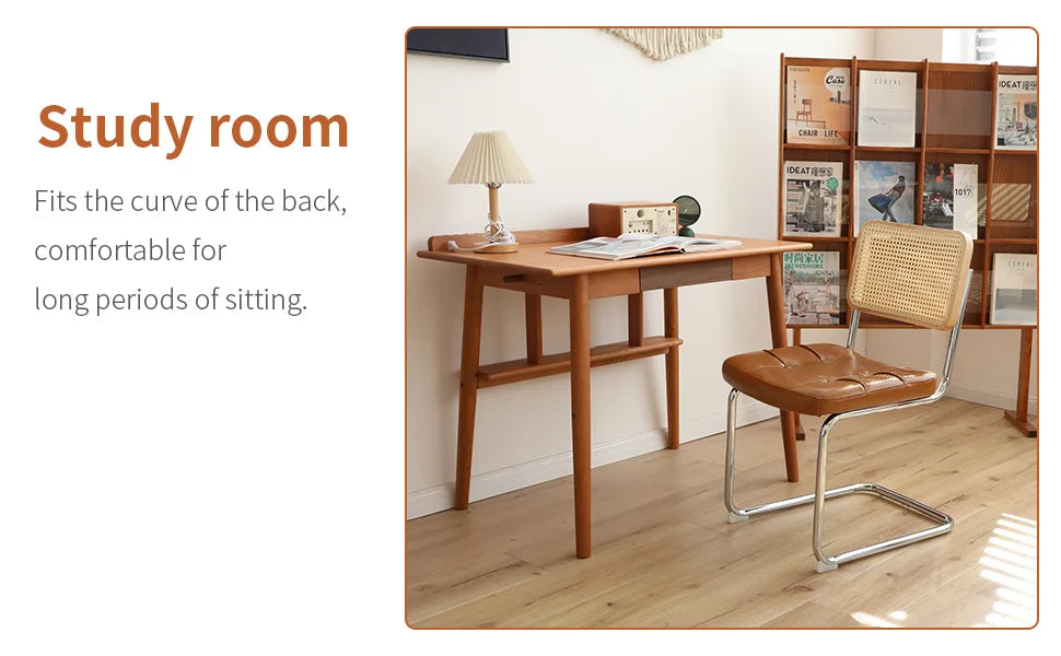 Faux Leather Rattan Side Accent Chairs with Chrome Legs,Modern Mid Century Designed Chairs for Dining,Living Room,Kitchen Chairs