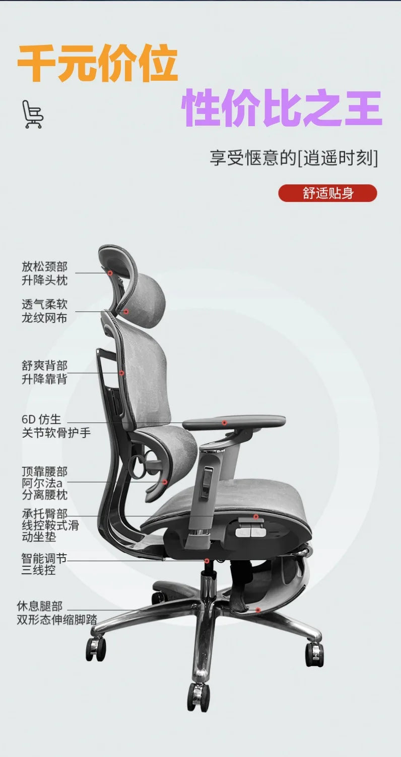 Aluminum Alloy Office Chair Student Ergonomic Computer Lifting Learning Backrest Executive Chair Home