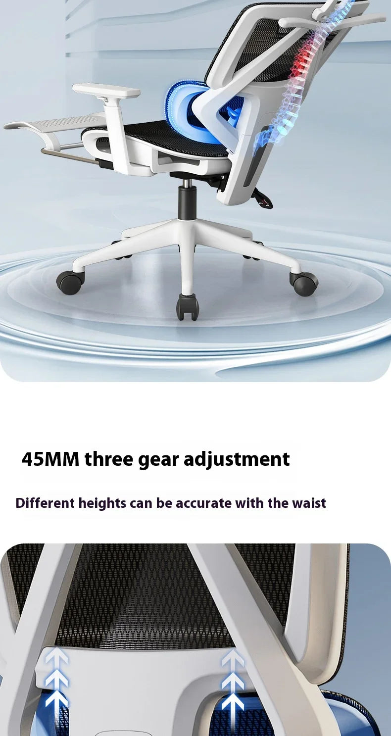 Ergonomic Chair Dresser Back Support Computer Gaming Chairs Wheels Massage Foot Rest Adjustable Sedia Da Ufficio Furniture