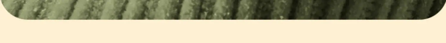 Modern Velour Office Chairs Footrest Adjustable Arm Gaming Recliner Office Chairs Ergonomic Comfy Cadeira Gamer Furniture